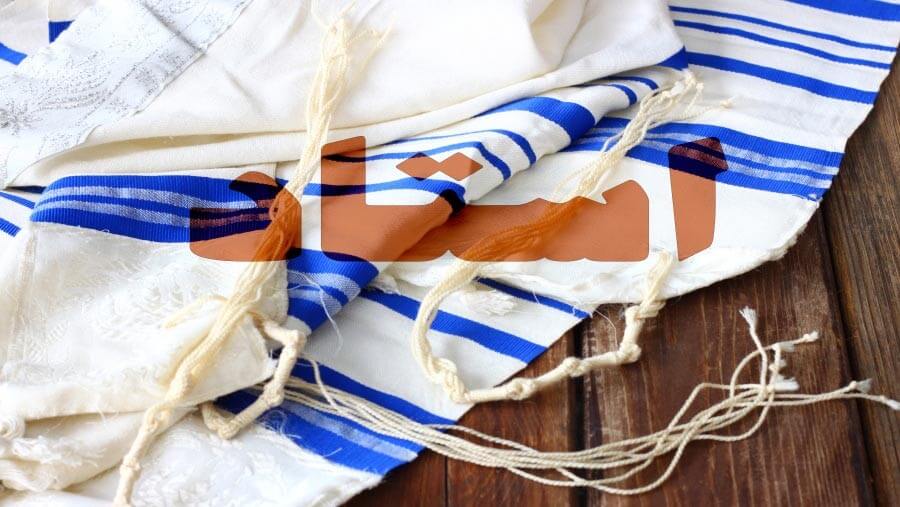 X06_NM42_rabbi2