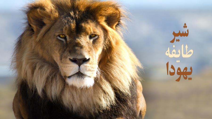X83_NM30_The Lion of the Tribe of Judah